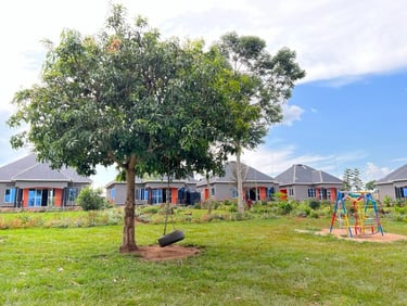 Foto mit Baum, der vor dem Baby Home steht