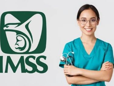 CURSOS IMSS CLIMSS CURSOS CLIMSS