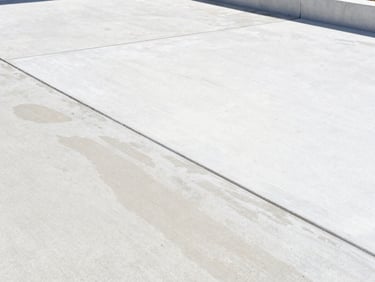 Close-up of a clean, newly pressure-washed concrete patio, showing clear distinction between clean and dirty areas, bright sunlight.