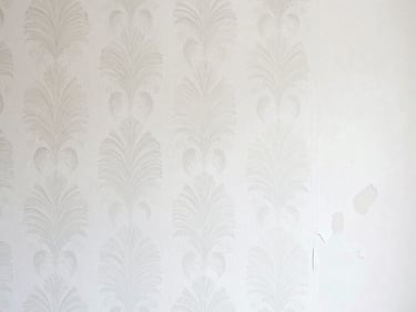 A decorative accent wall, half with a modern, intricate wallpaper pattern perfectly installed, half with the old, peeling wallpaper. Bright, soft light.