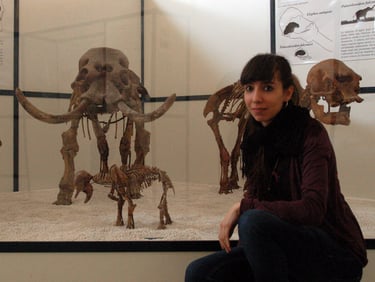 Blanca Moncunill-Solé with Elephas flaconeri (juvenile and adults) in La Sapienza, Roma (2013)