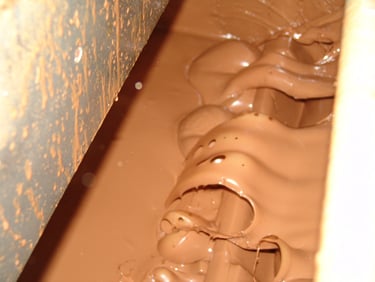 Interno da Concha