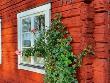Pigments rouges peinture de falun suédoise, rouge clair sur bois vieilli