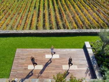 a group yoga class on an out door deck overlooking a grass field