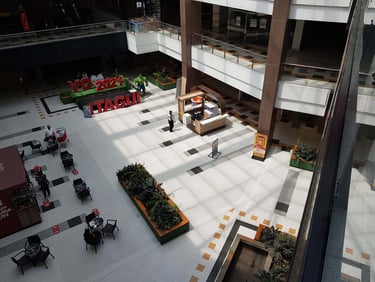 Picture of commercial isle stand designed by White and Wood Custom Carpentry in Orlando Florida