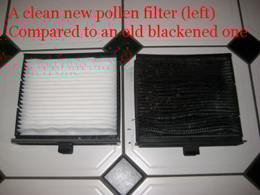 Pollen Filters