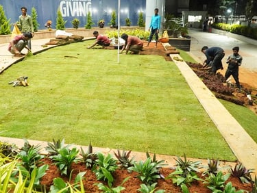 Certified Professionals from FM Landscaping installing lawn at IT Park