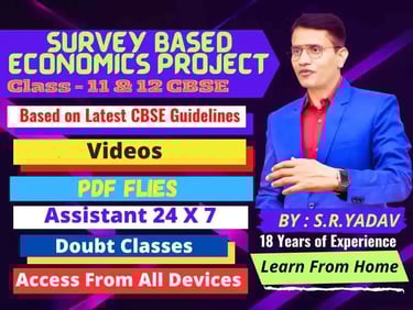 Survey based economics project class 12