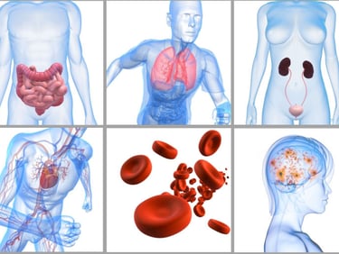 énergéticienne quantique