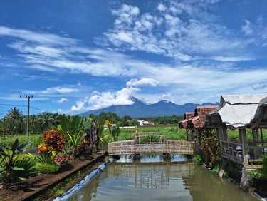 Warung tepi sawah Suco
