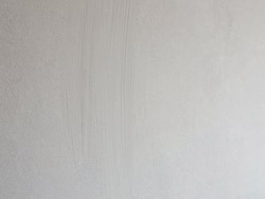 Close-up of hand-applied plaster wall, subtle classical texture, soft neutral plaster white.