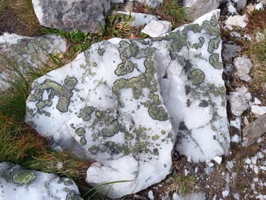 Balto kvarco gabalas Norvegijos šiaurėje