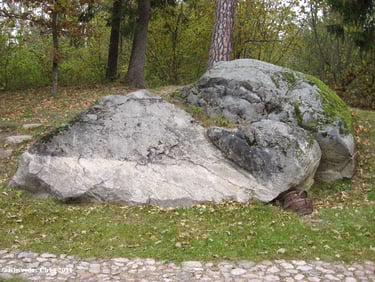 Nikronių akmuo su ženklais