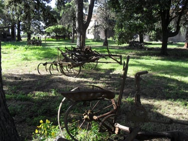 Reserva Santa Catalina de Llavallol