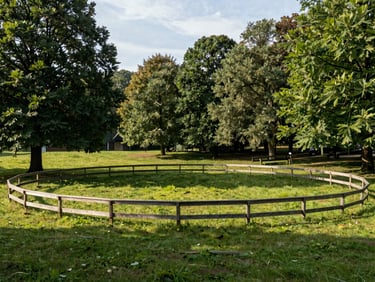 Vue panoramique des pistes extérieures du centre équestre entourées de barrières en bois et de grands arbres verdoyants, lumière de fin d'après-midi.