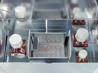 Ready to use cell and tissue kits from CTIBIOTECH tissue and cells biobank. www.ctibiotech.com