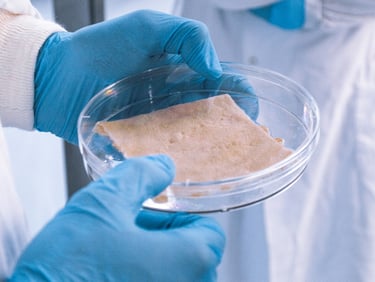 Skin tissue donated for research. CTIBIOTECH. Biobank. Skin.