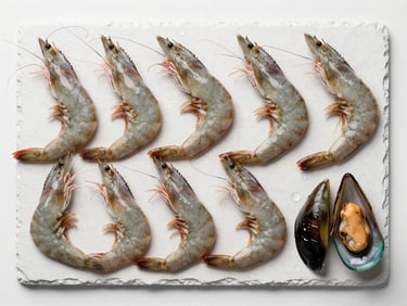 Overhead flat-lay of fresh whole shrimp and mussels arranged on white slate under cool diffused studio light, water droplets visible, clean and precise, no warm tones