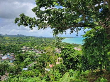 Investir et Vivre à Miches : Les 20 questions...