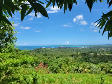 Panoramic Ocean and Mountain Views