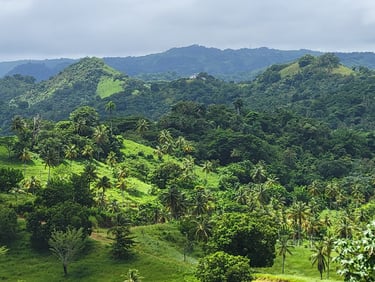 Natural Integration with the Landscape