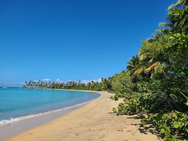 The 3 Most Beautiful Beaches in Miches: Esmeralda, Arriba & Limón