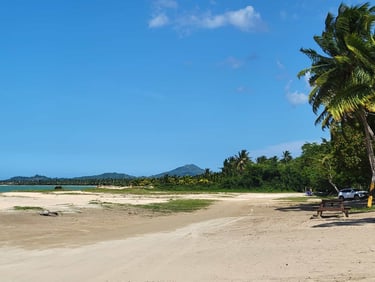 Playa Arriba: The Wild Pearl of Miches