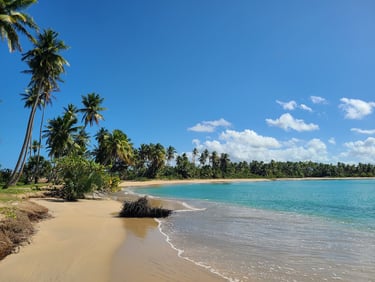 Miches : l’opportunité d’investissement durable la plus stratégique des Caraïbes