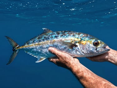 Close-up of a massive Giant Trevally held gently in the deep blue ocean water by experienced hands, sunlight filtering through the water surface, ready for release