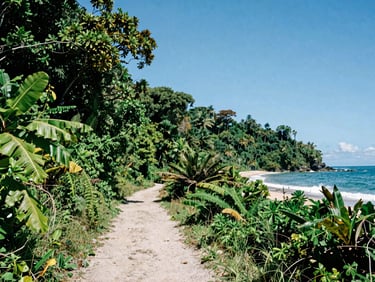 Wide-angle view of a coastal trail in Corcovado National Park, where the dense jungle meets the sandy beach, bright tropical sun