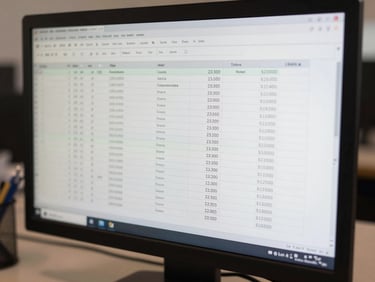 Close-up of a desktop monitor displaying a transaction ledger spreadsheet with line items, amounts and timestamps visible, neutral office light, no people