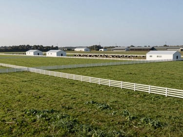 Expansive view of a modern livestock and agriculture integration farm, showing well-maintained pastures and clean boundary fencing.