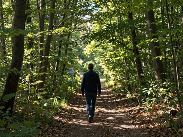 Vue aérienne d'un sentier forestier baigné par la lumière naturelle du matin, un manager marchant d'un pas décidé, espace négatif important.