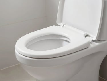 Wide shot of a clean, white vitreous china toilet and basin in a modern setting, bright natural daylight, crisp focus.