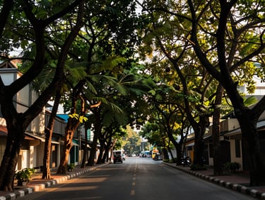 Sathorn district street-level view at golden hour, mature rain trees lining a quiet road, warm low light filtering through canopy, no people, architectural context visible in background