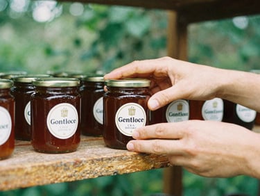 Close-up of hands placing artisanal Greek honey jars on a rustic wooden shelf, soft morning light, forest green tones, 35mm film.