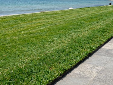 Lush freshly mowed lawn under bright coastal daylight, sharp green grass texture, clean edges near a stone pathway.