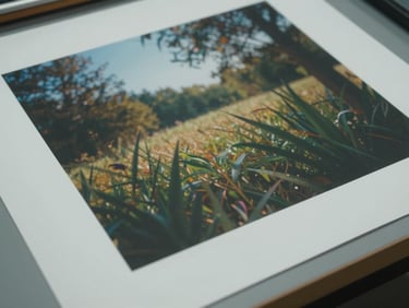 Close-up overhead view of a large-format digital print laid flat on a production table, showing sharp color accuracy and clean edges under cool daylight, paper texture visible