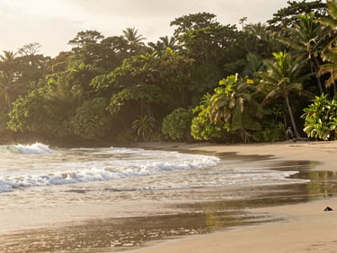 Warm editorial travel photography, soft overcast morning light, an empty pristine cove in Manuel Antonio with gentle waves, 35mm