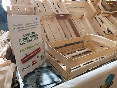 Cassette vuote simbolo della scomparsa di frutta e verdura senza api