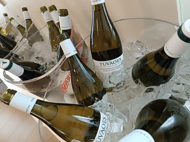 Bottiglie di Vermentino Vinicola Cherchi immerse nel ghiaccio durante la degustazione