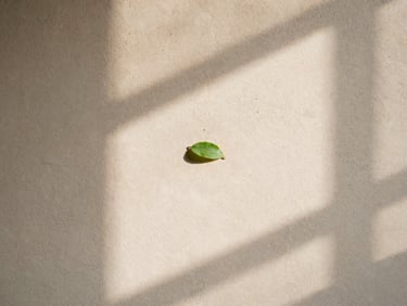 Soft diffused sunlight hitting a textured concrete wall, a small green leaf shadow dancing across the surface, warm minimalist aesthetic, 35mm.