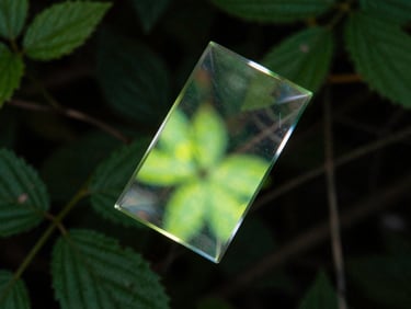 Abstract light refraction through a prism, deep forest background, subtle neon ultraviolet leaks, 35mm