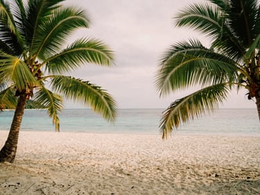An empty white sand beach in the Andaman Islands, wild green palms framing the calm turquoise water, soft overcast daylight, 35mm film aesthetic.