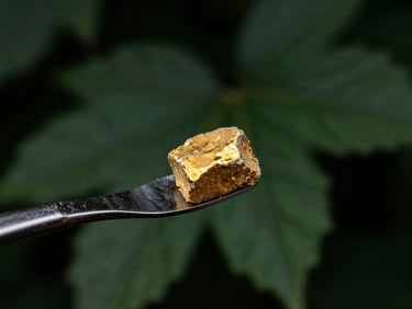 A golden dollop of live rosin on a dark metallic tool, reflecting warm brass tones, editorial macro photography.