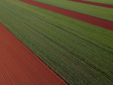 Wide-angle drone photograph of clean-cut agricultural land plots with clear boundaries, bright midday sunlight, green fields contrasting with red soil.