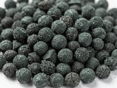 Macro close-up of high-density coconut shell charcoal briquettes showing fine grain texture, cool industrial studio lighting, desaturated slate tones, sharp focus, 35mm
