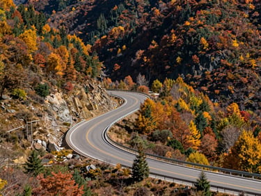 Eye-level editorial shot of a winding mountain highway surrounded by sharp autumn trees, crisp daylight, clean composition.