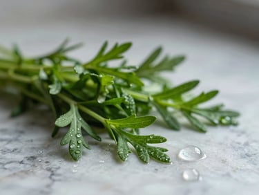 Close-up of fresh organic green herbs and clean water droplets on a light marble surface, soft diffused morning light