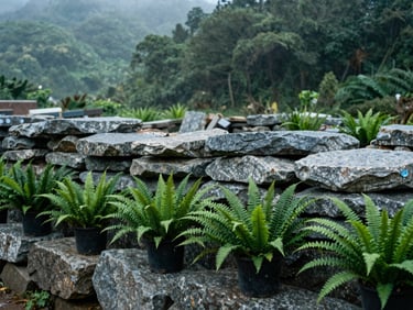 Close-up of neatly stacked native granite stones and potted mountain-hardy ferns in a material yard, misty light, deep forest greens.